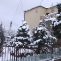 Wczytywanie...